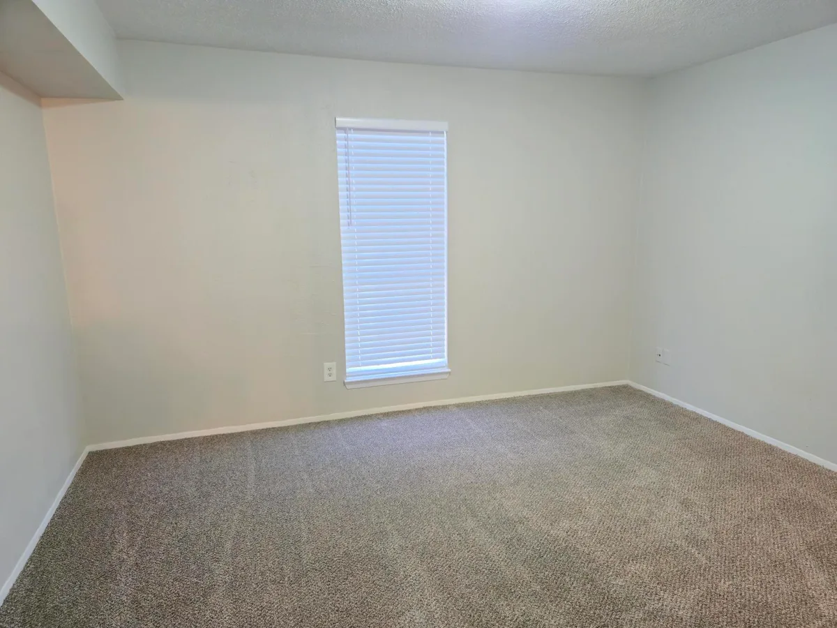 Carpeted bedroom with a tall window and white blinds