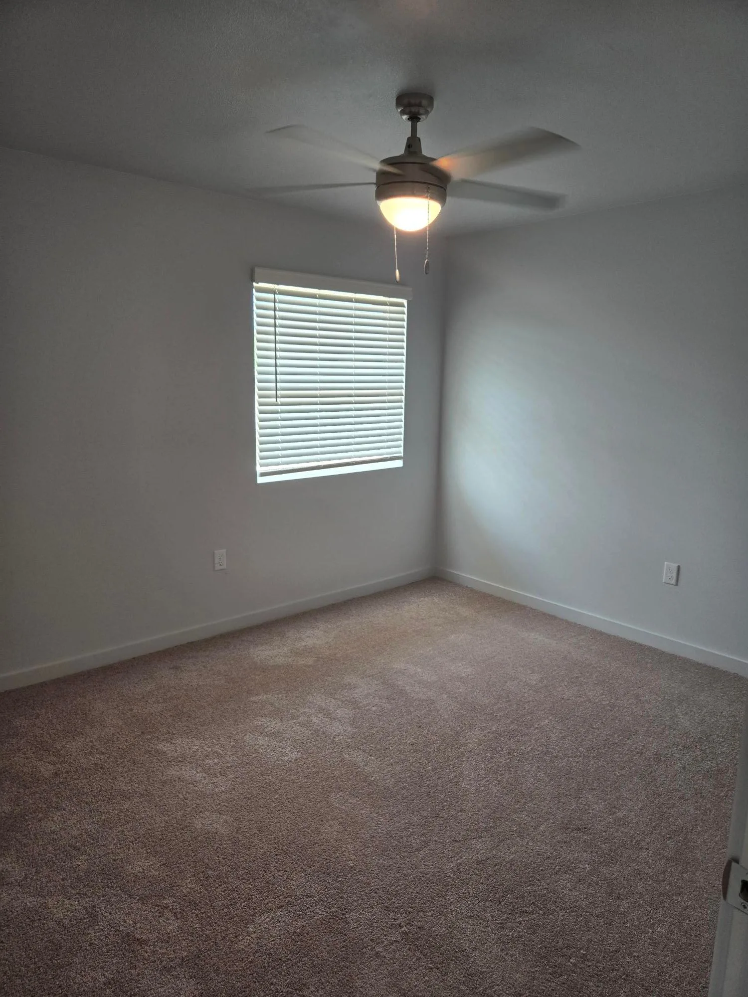 Carpeted bedroom with a lighted ceiling fan, neutral walls and a bright window with blinds